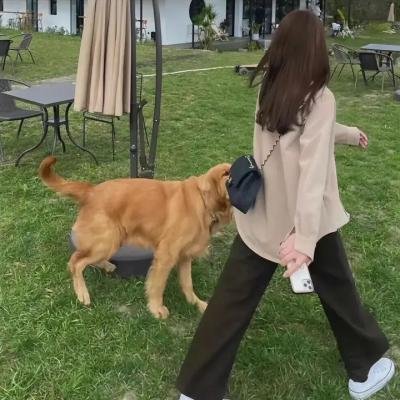 花儿与少年第三季